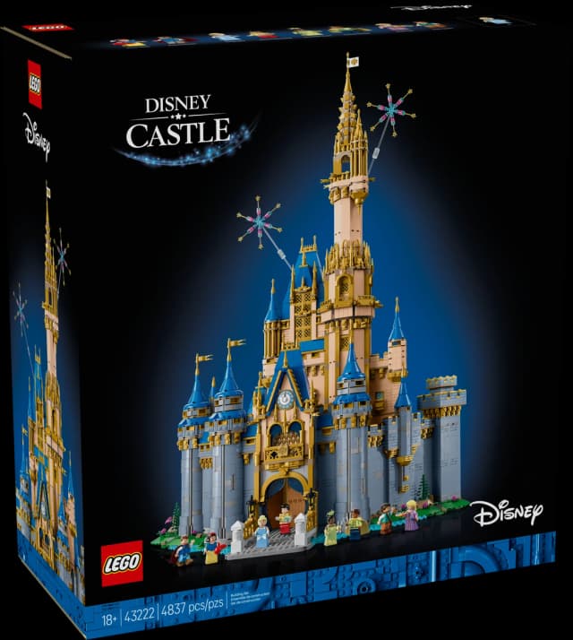 Disney Castle - Image 1