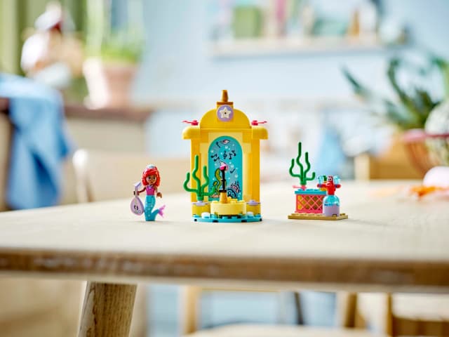 Ariel's Music Stage - Image 6