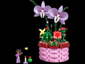 Isabela's Flowerpot
