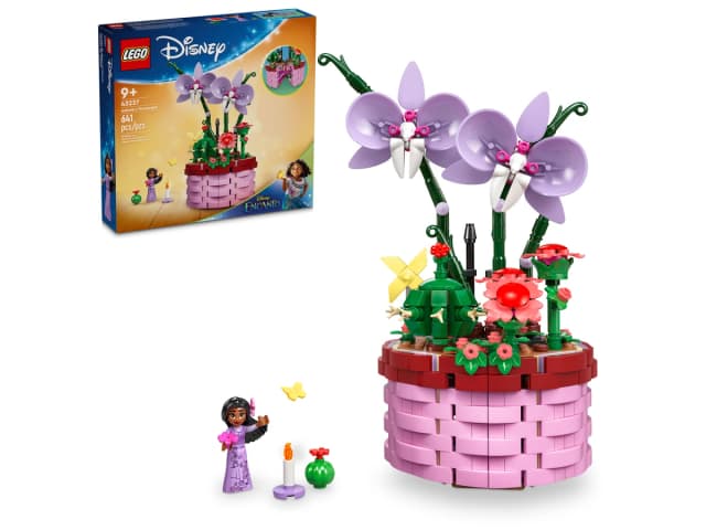 Isabela's Flowerpot - Image 2