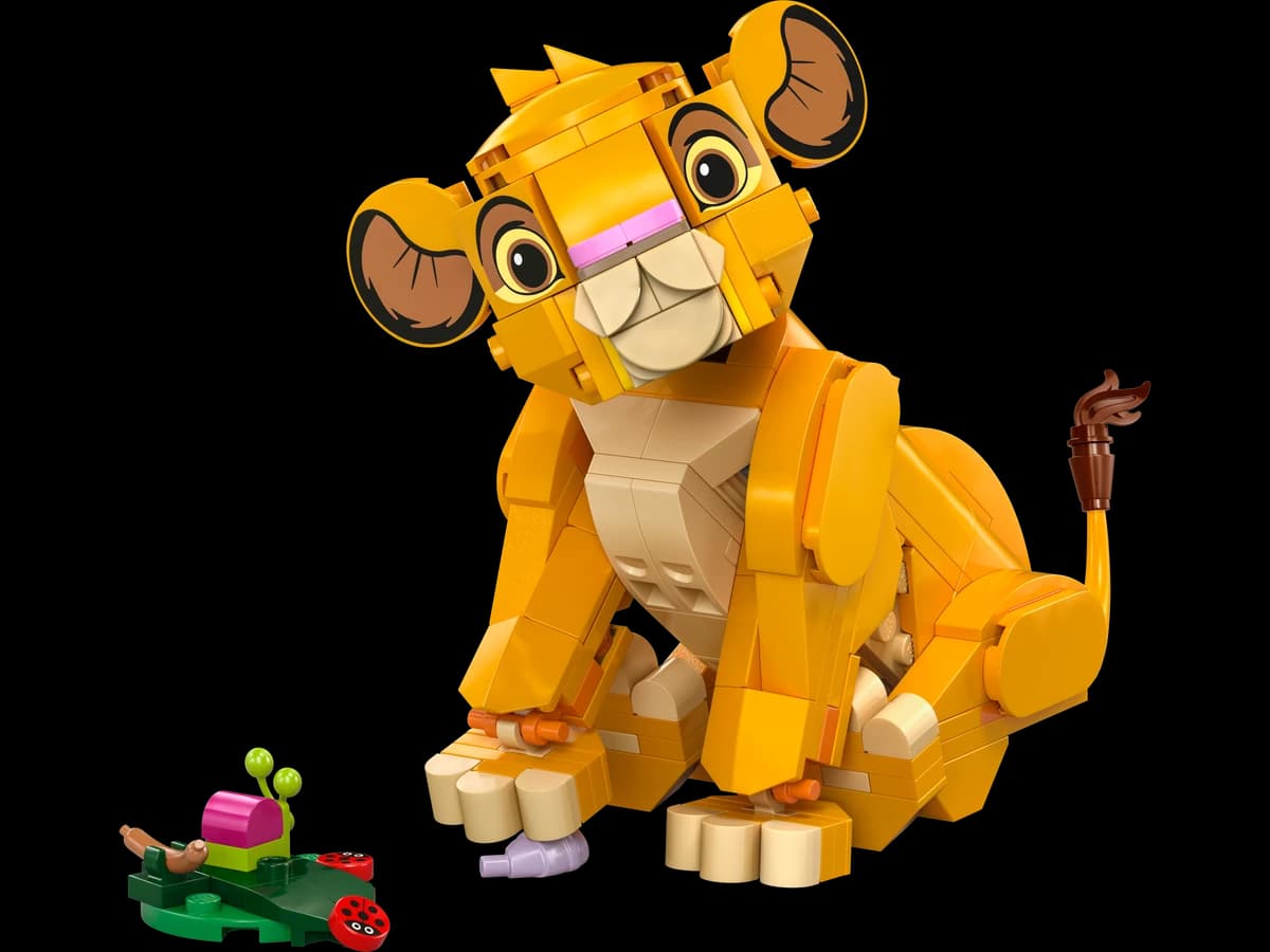 Simba the Lion King Cub
