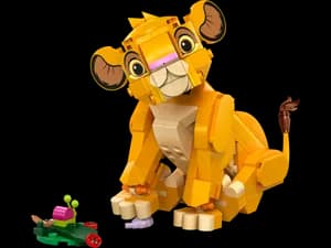 Simba the Lion King Cub