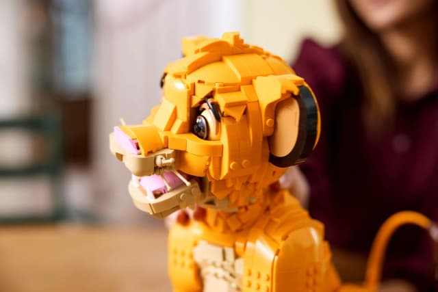 Young Simba the Lion King - Image 7