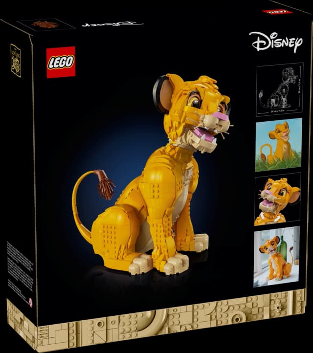 Young Simba the Lion King - Image 8