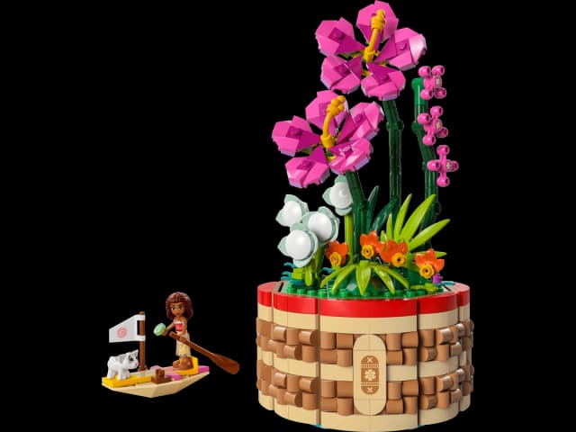 Moana's Flowerpot - Image 1