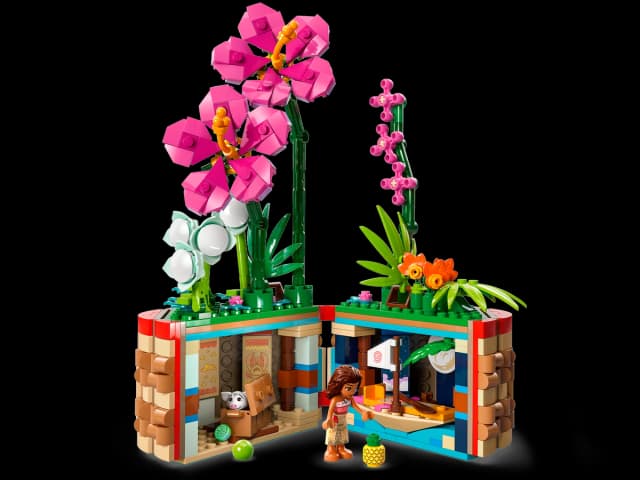 Moana's Flowerpot - Image 4