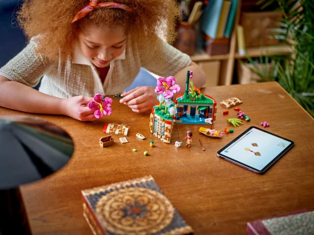 Moana's Flowerpot - Image 9