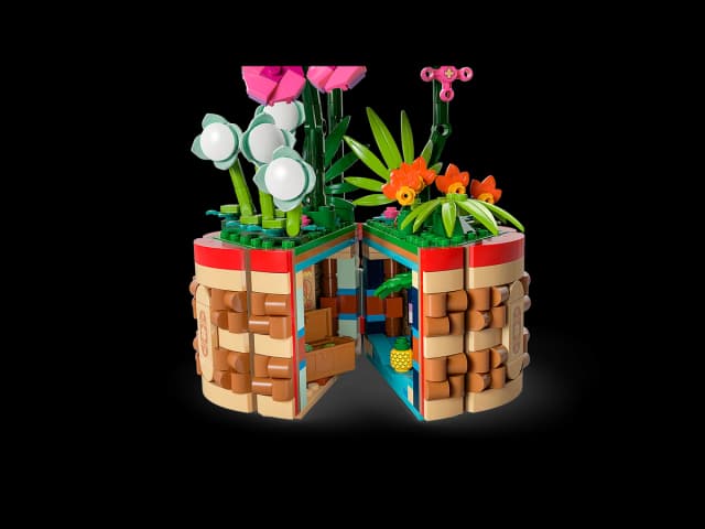 Moana's Flowerpot - Image 10