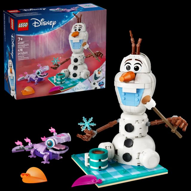Olaf and Bruni’s Picnic Fun - Image 2