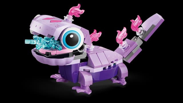 Olaf and Bruni’s Picnic Fun - Image 9