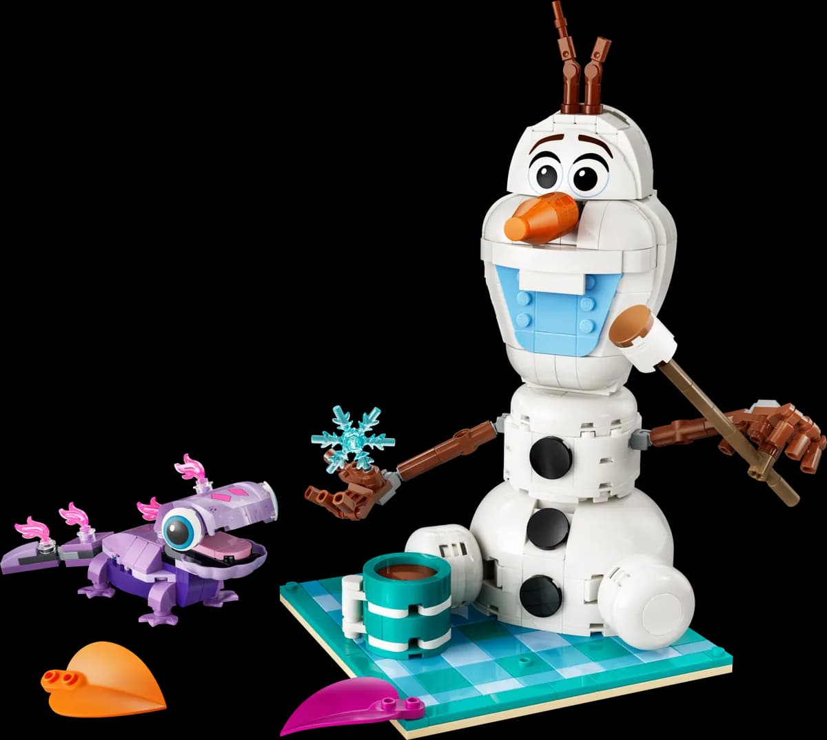 Olaf and Bruni’s Picnic Fun