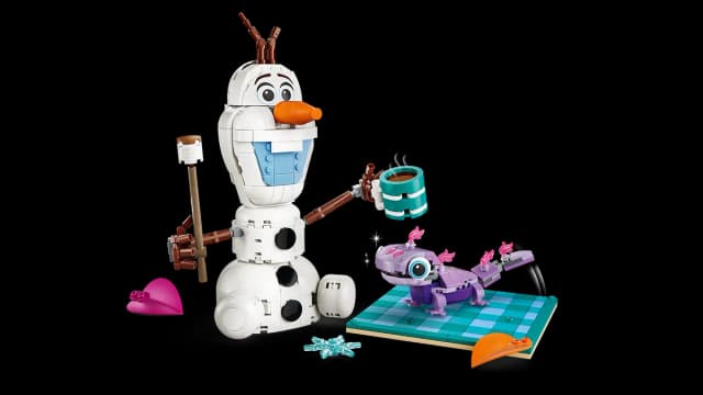 Olaf and Bruni’s Picnic Fun - Image 11