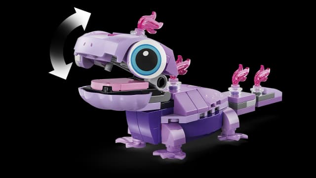 Olaf and Bruni’s Picnic Fun - Image 12