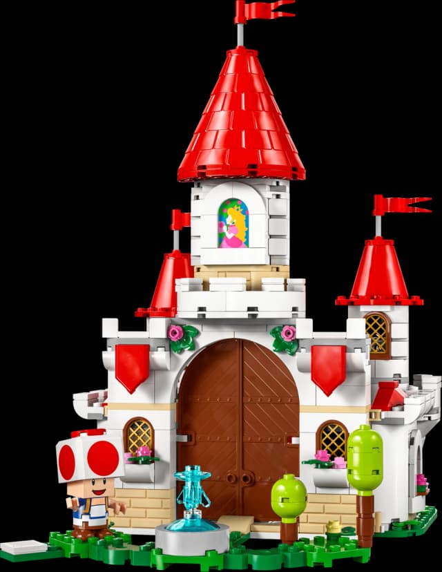Battle with Roy at Peach's Castle - Image 9