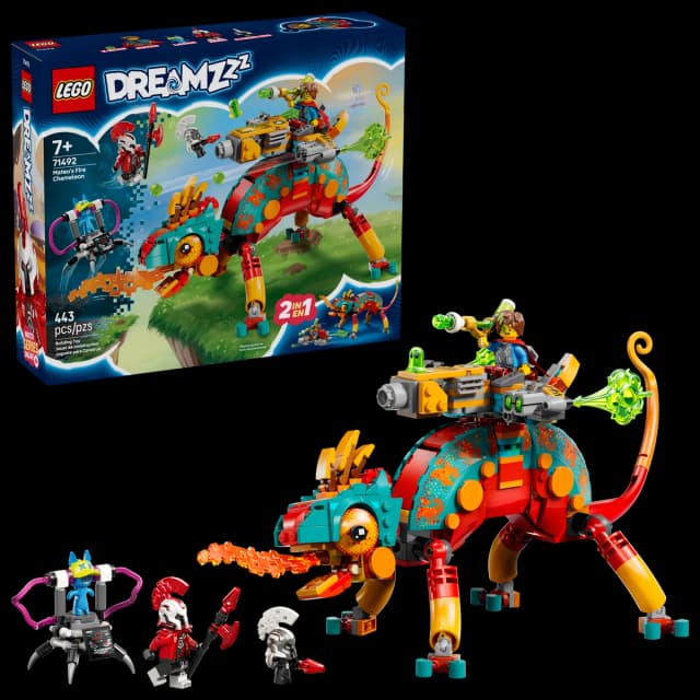 Mateo's Fire Chameleon - Image 9