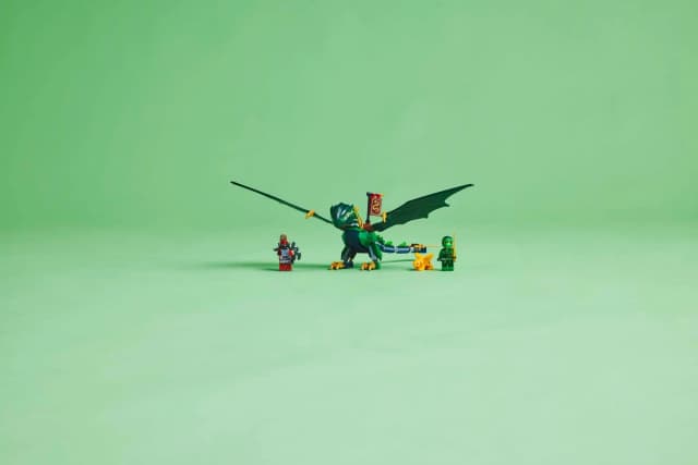 Lloyd's Green Forest Dragon - Image 7
