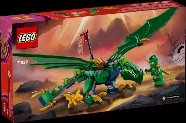 Lloyd's Green Forest Dragon - Image 8