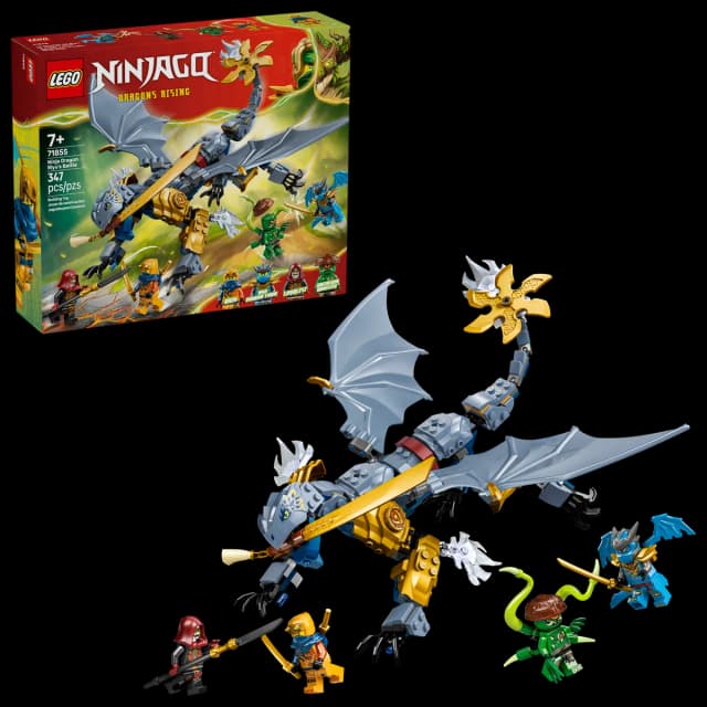 Ninja Dragon Riyu's Battle - Image 2