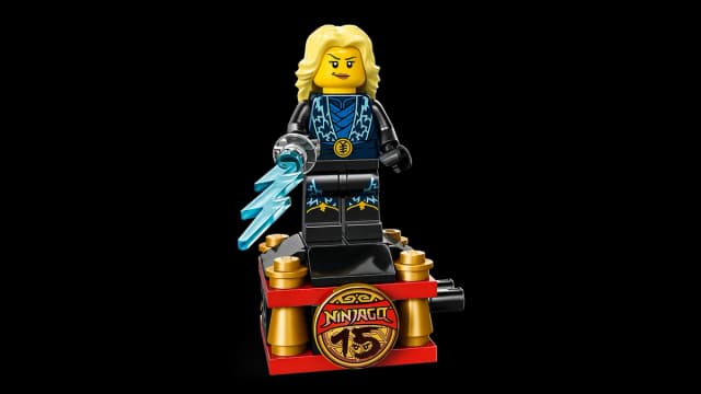 Ninja Character Display 15th Anniversary - Image 8