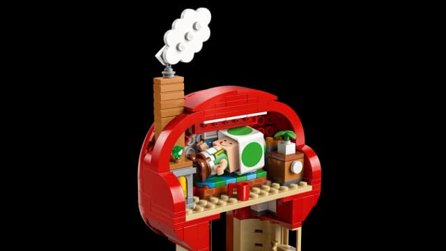Party at Toad's House - Image 7
