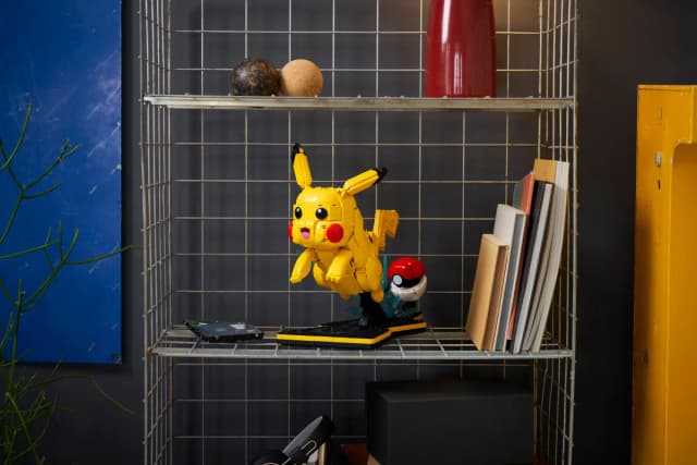 Pikachu and Poké Ball - Image 8