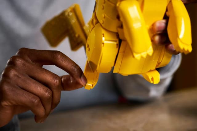 Pikachu and Poké Ball - Image 12