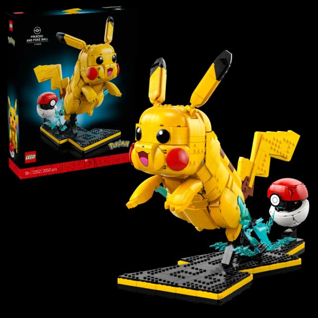 Pikachu and Poké Ball - Image 17