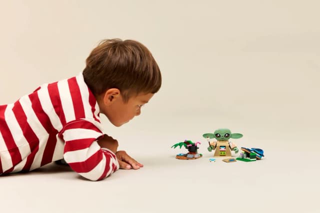 Grogu's Homestead - Image 3