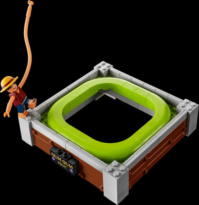 Gum-Gum Fruit - Image 4