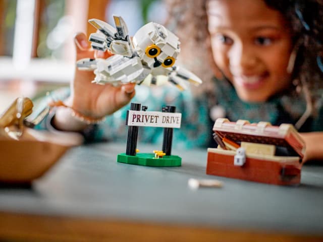 Hedwig™ at 4 Privet Drive - Image 9