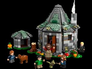 Hagrid's Hut: An Unexpected Visit