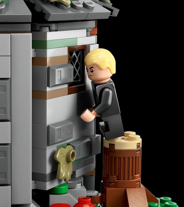 Hagrid's Hut: An Unexpected Visit - Image 4