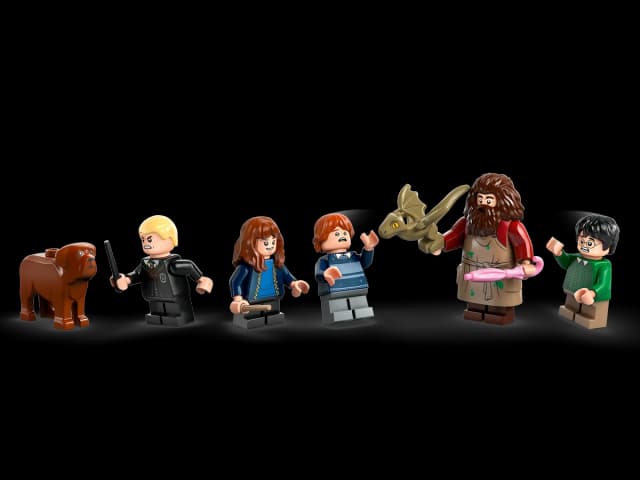 Hagrid's Hut: An Unexpected Visit - Image 2