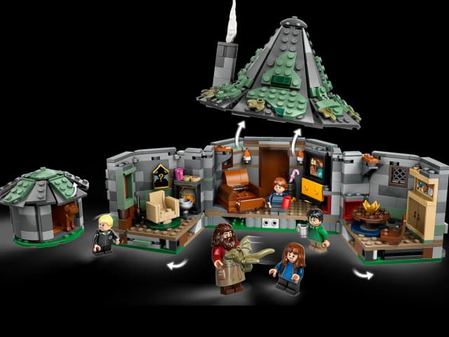 Hagrid's Hut: An Unexpected Visit - Image 7