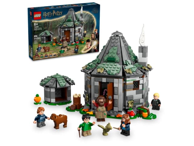 Hagrid's Hut: An Unexpected Visit - Image 10