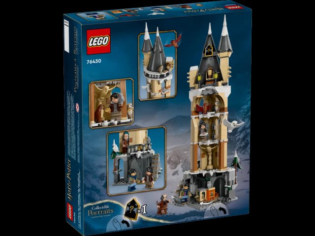 Hogwarts™ Castle Owlery - Image 8