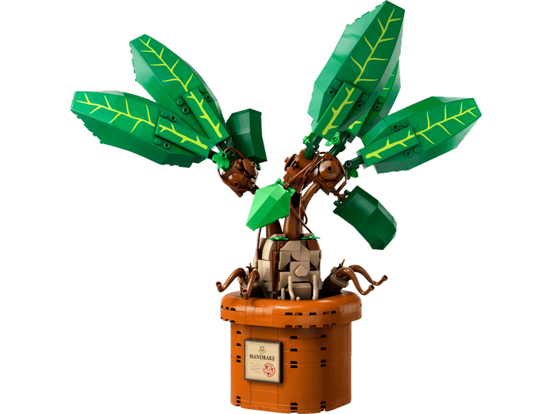 Mandrake