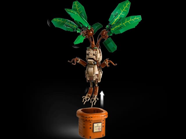 Mandrake - Image 3