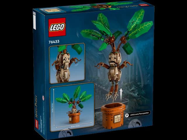 Mandrake - Image 2