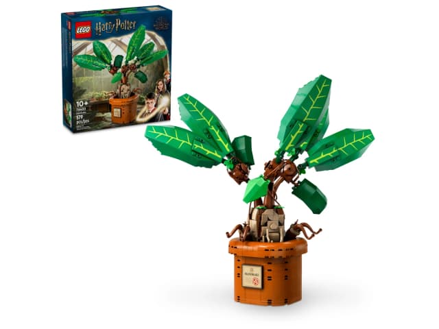 Mandrake - Image 4