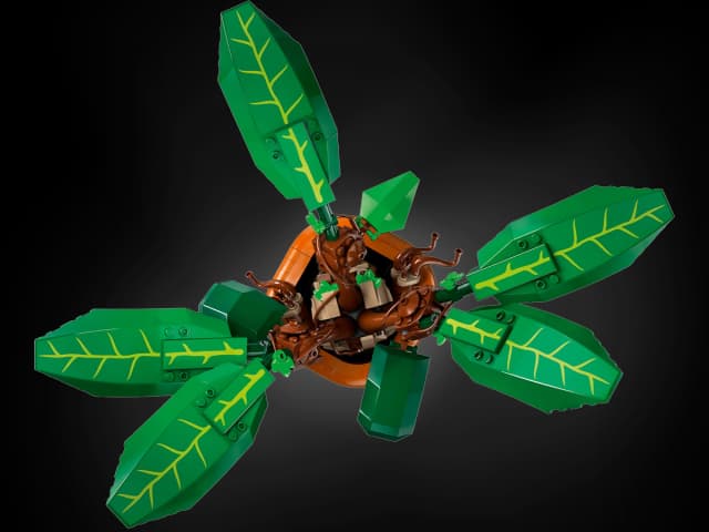 Mandrake - Image 5