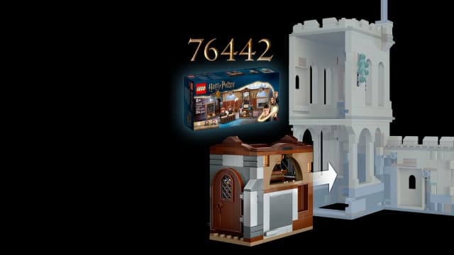 Hogwarts™ Castle: Flying Lessons - Image 8