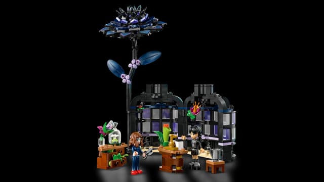Black Dahlia Flower - Image 9