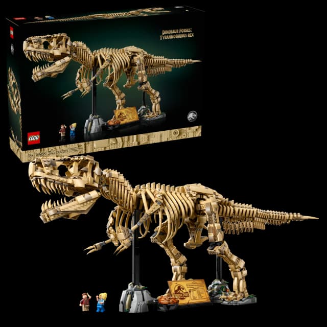 Dinosaur Fossils: Tyrannosaurus rex - Image 2