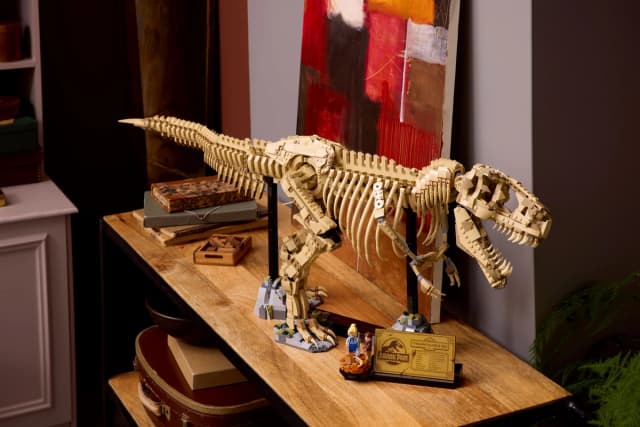 Dinosaur Fossils: Tyrannosaurus rex - Image 13