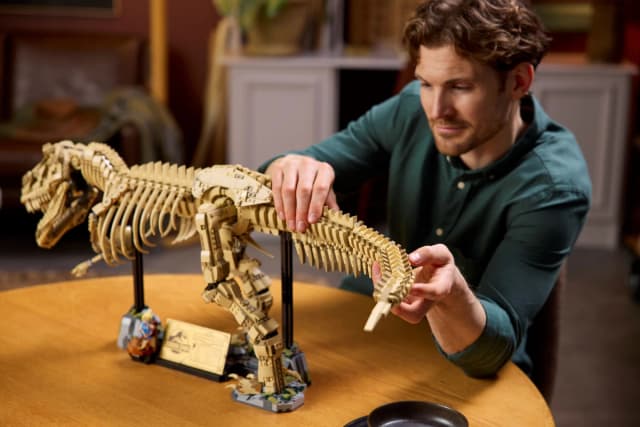 Dinosaur Fossils: Tyrannosaurus rex - Image 4