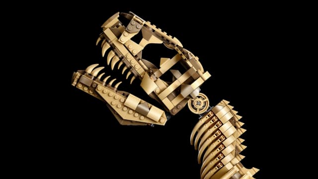 Dinosaur Fossils: Tyrannosaurus rex - Image 6