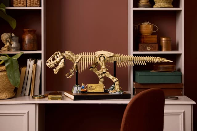 Dinosaur Fossils: Tyrannosaurus rex - Image 7