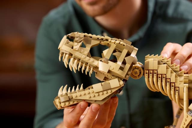 Dinosaur Fossils: Tyrannosaurus rex - Image 5