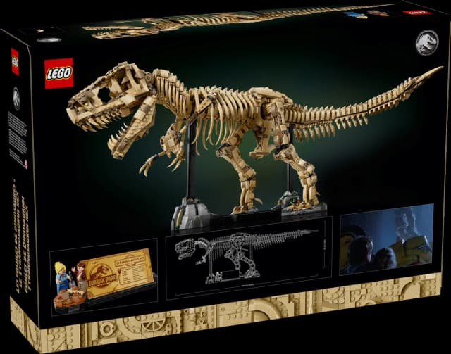 Dinosaur Fossils: Tyrannosaurus rex - Image 3